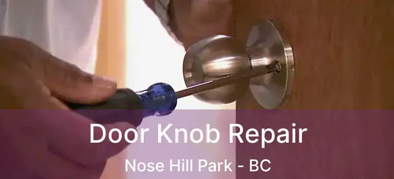 Door Knob Repair Nose Hill Park - BC