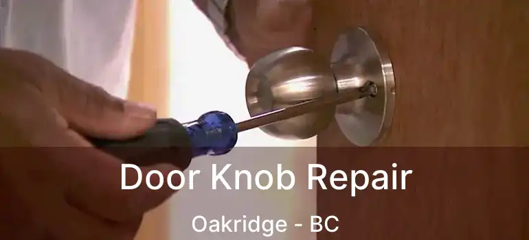  Door Knob Repair Oakridge - BC