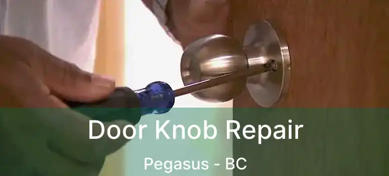  Door Knob Repair Pegasus - BC