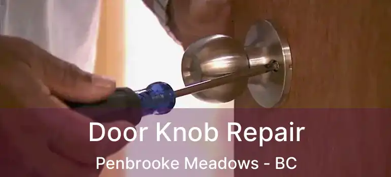  Door Knob Repair Penbrooke Meadows - BC