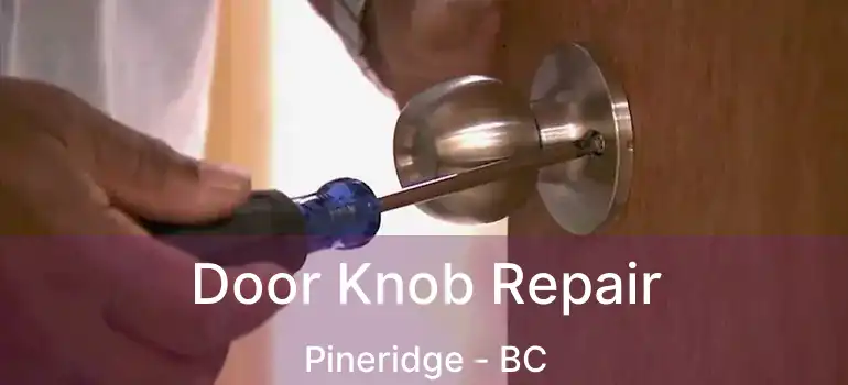  Door Knob Repair Pineridge - BC