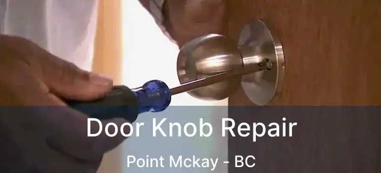  Door Knob Repair Point Mckay - BC