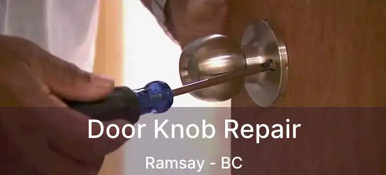  Door Knob Repair Ramsay - BC