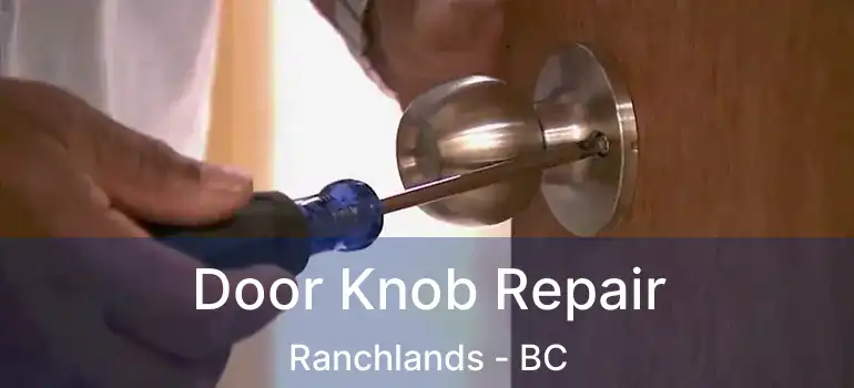  Door Knob Repair Ranchlands - BC