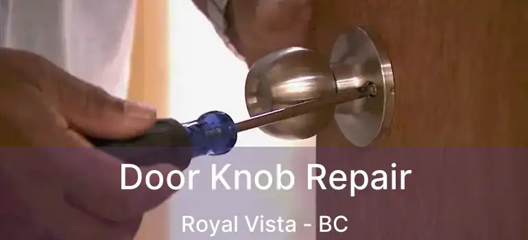  Door Knob Repair Royal Vista - BC