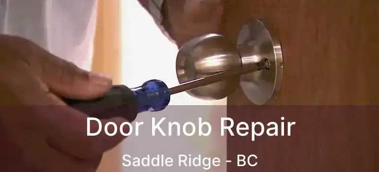  Door Knob Repair Saddle Ridge - BC