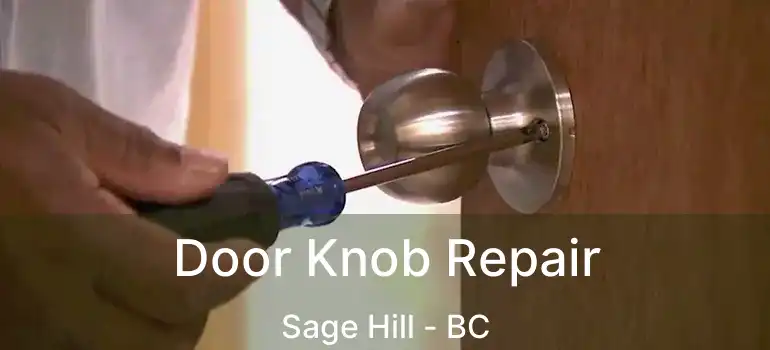 Door Knob Repair Sage Hill - BC