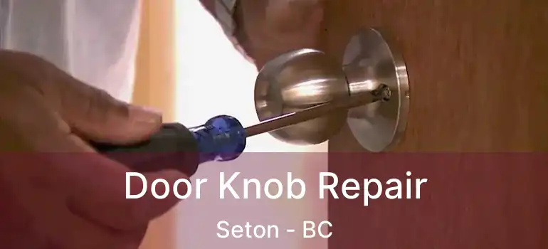  Door Knob Repair Seton - BC