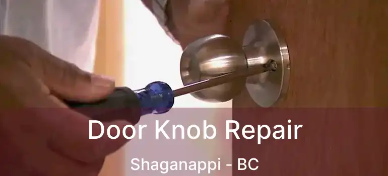  Door Knob Repair Shaganappi - BC