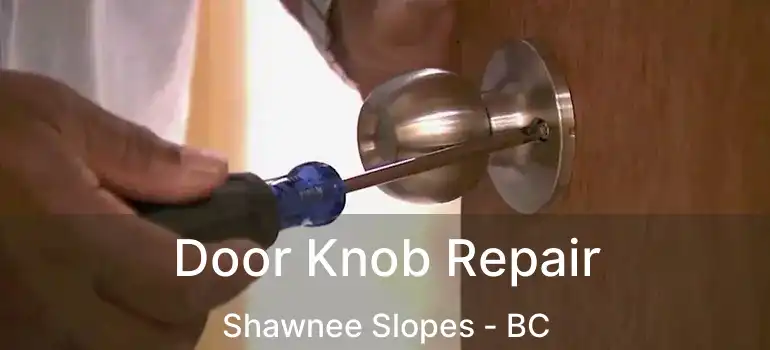  Door Knob Repair Shawnee Slopes - BC