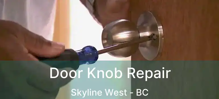  Door Knob Repair Skyline West - BC