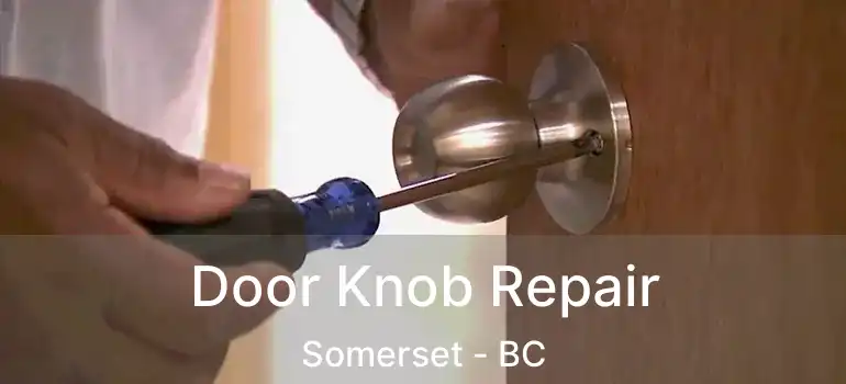  Door Knob Repair Somerset - BC