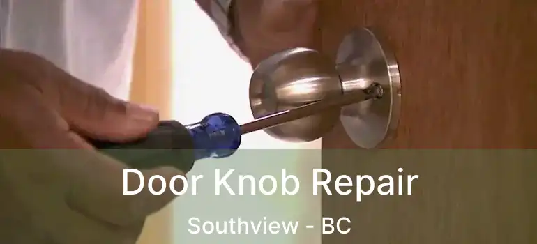  Door Knob Repair Southview - BC