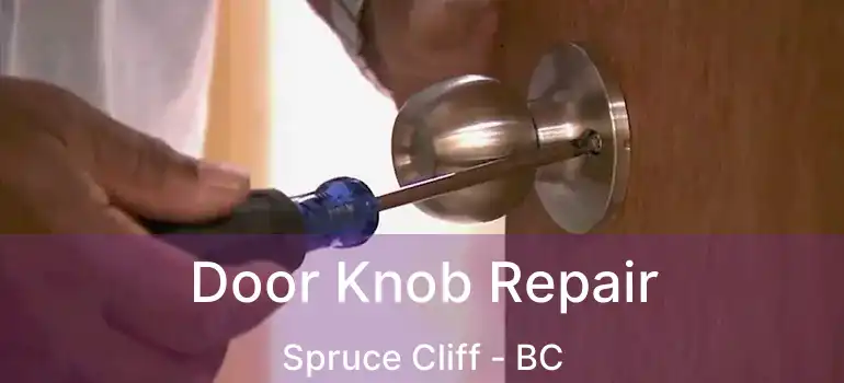  Door Knob Repair Spruce Cliff - BC