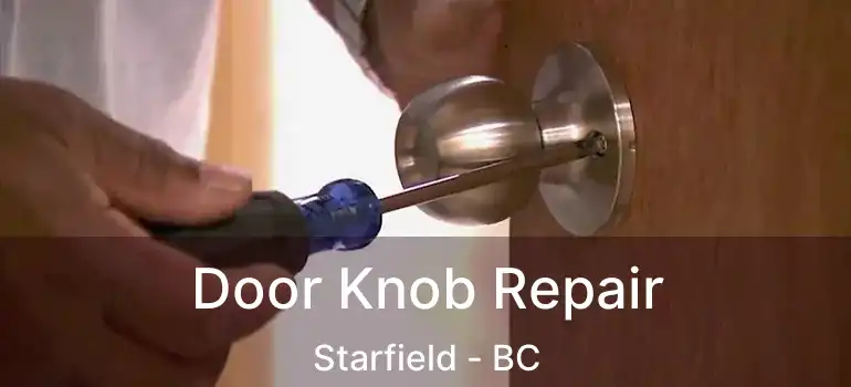  Door Knob Repair Starfield - BC
