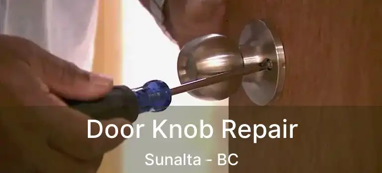  Door Knob Repair Sunalta - BC