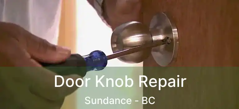  Door Knob Repair Sundance - BC