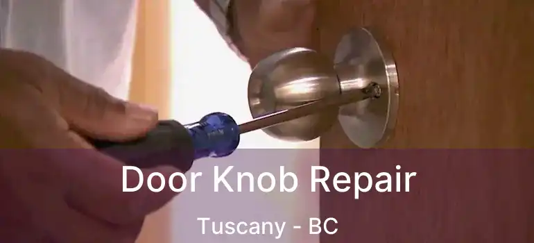  Door Knob Repair Tuscany - BC
