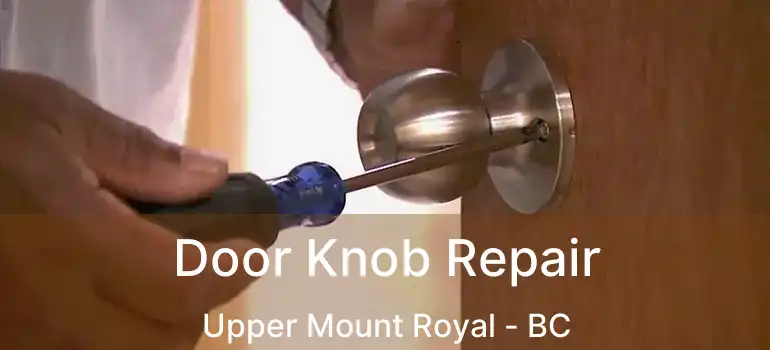  Door Knob Repair Upper Mount Royal - BC