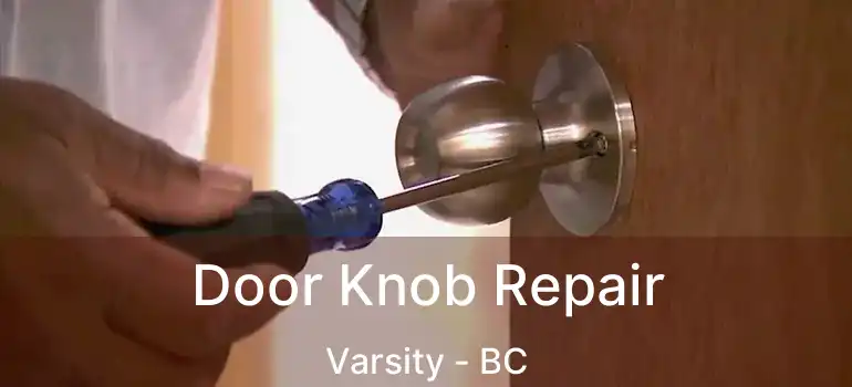  Door Knob Repair Varsity - BC