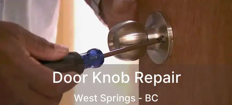  Door Knob Repair West Springs - BC
