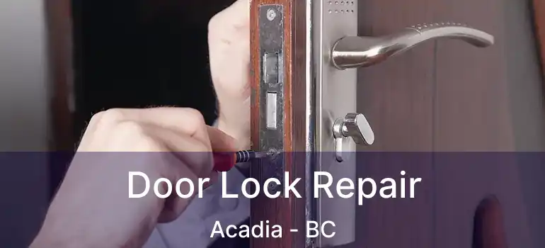  Door Lock Repair Acadia - BC