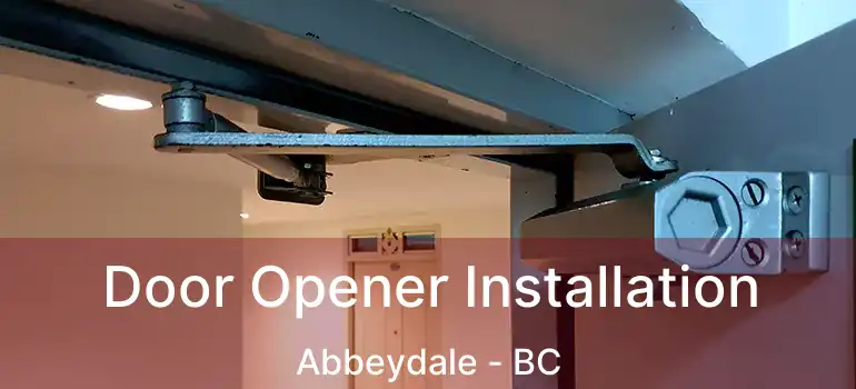  Door Opener Installation Abbeydale - BC