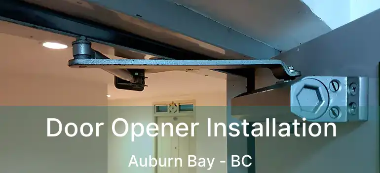  Door Opener Installation Auburn Bay - BC