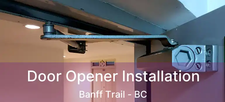 Door Opener Installation Banff Trail - BC