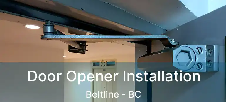  Door Opener Installation Beltline - BC
