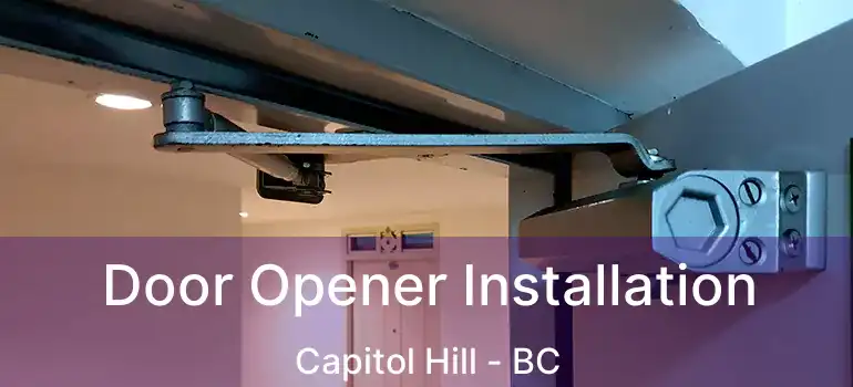  Door Opener Installation Capitol Hill - BC