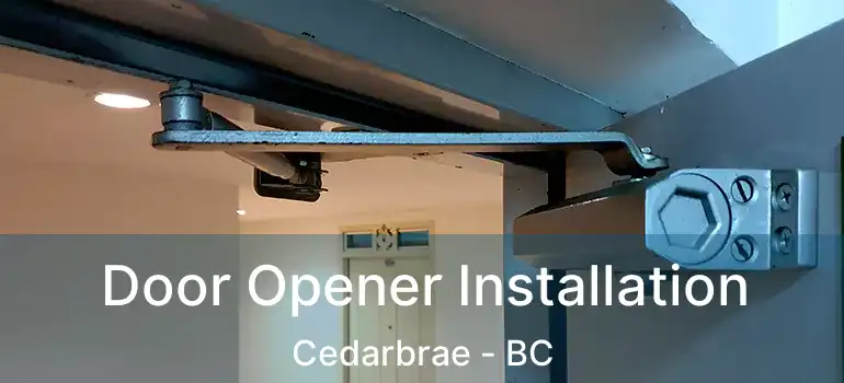  Door Opener Installation Cedarbrae - BC