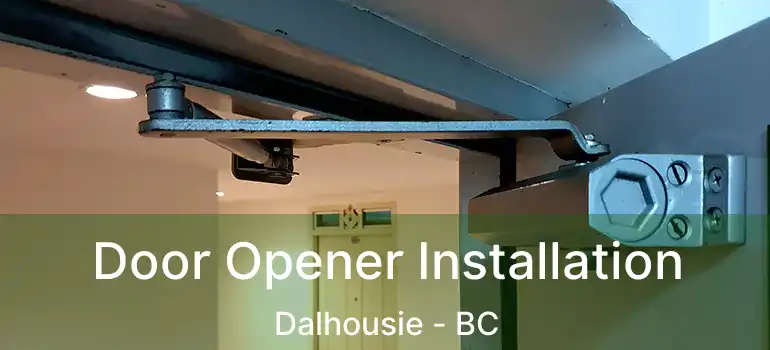  Door Opener Installation Dalhousie - BC