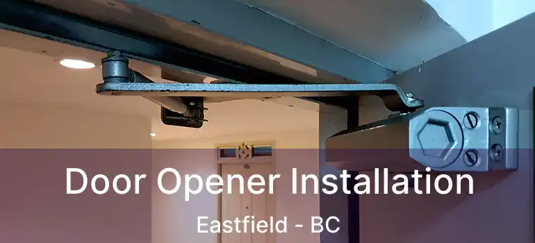  Door Opener Installation Eastfield - BC