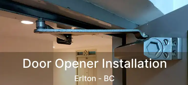  Door Opener Installation Erlton - BC