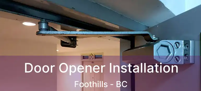  Door Opener Installation Foothills - BC