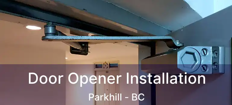  Door Opener Installation Parkhill - BC