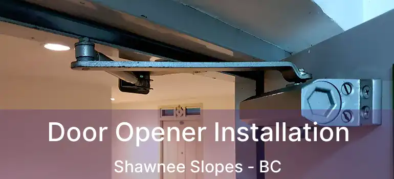  Door Opener Installation Shawnee Slopes - BC