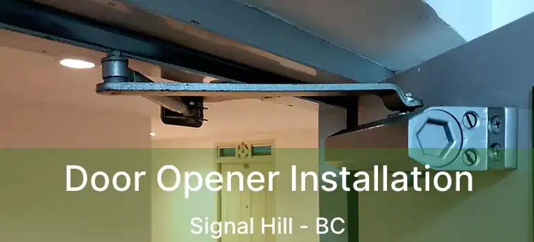 Door Opener Installation Signal Hill - BC