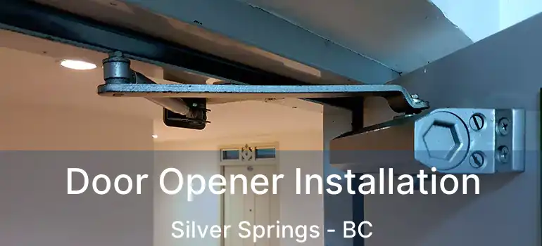  Door Opener Installation Silver Springs - BC