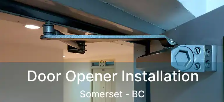  Door Opener Installation Somerset - BC