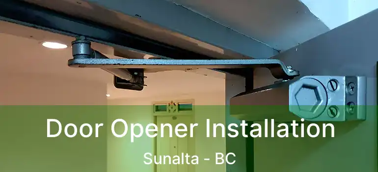 Door Opener Installation Sunalta - BC