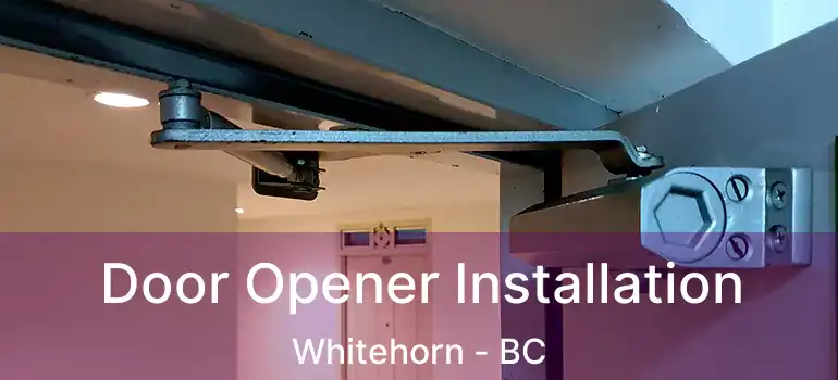  Door Opener Installation Whitehorn - BC