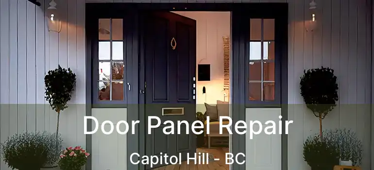  Door Panel Repair Capitol Hill - BC