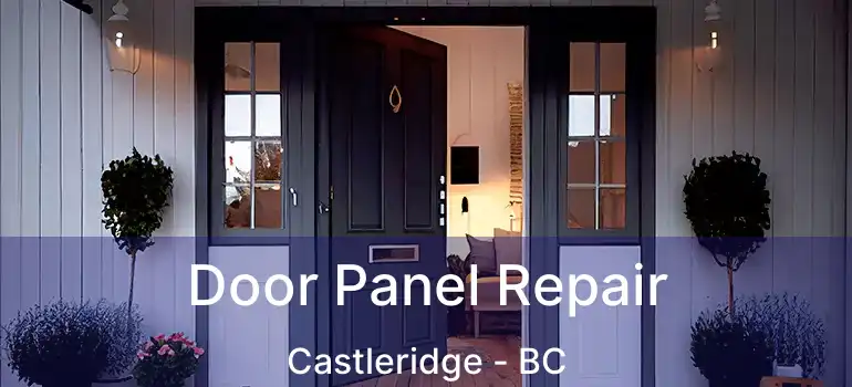  Door Panel Repair Castleridge - BC