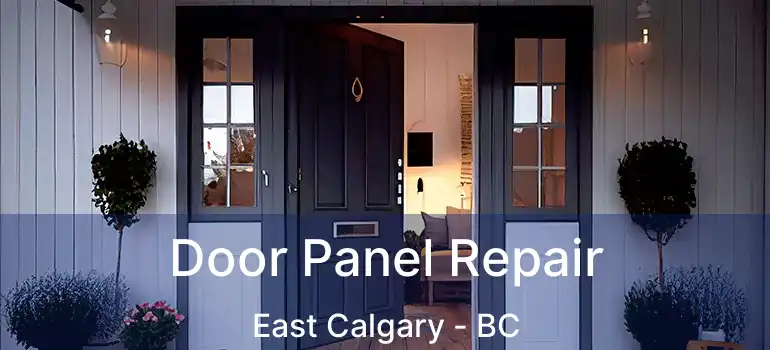  Door Panel Repair East Calgary - BC