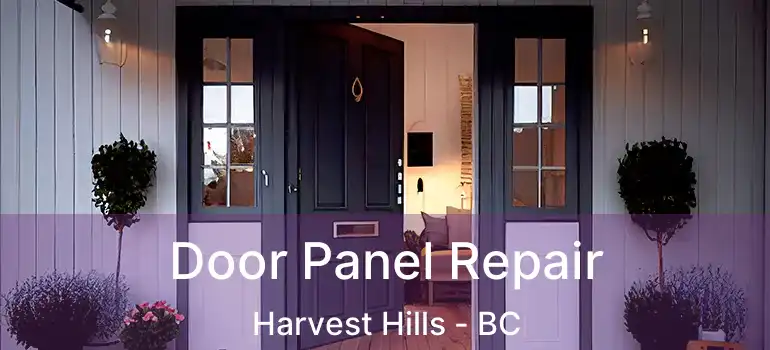  Door Panel Repair Harvest Hills - BC