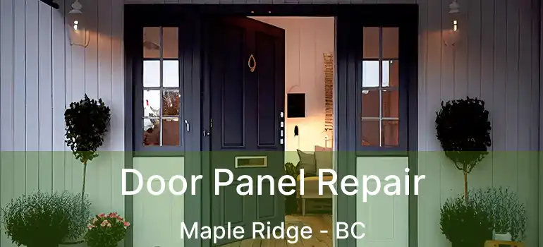  Door Panel Repair Maple Ridge - BC