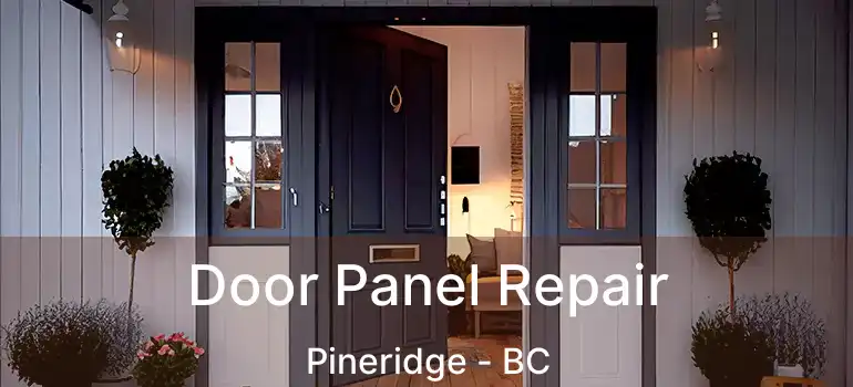  Door Panel Repair Pineridge - BC