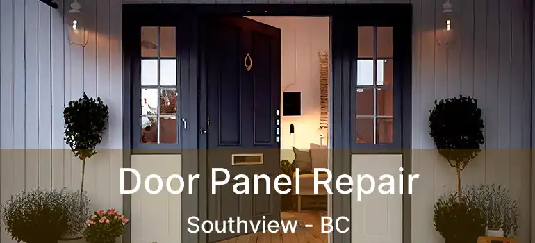  Door Panel Repair Southview - BC